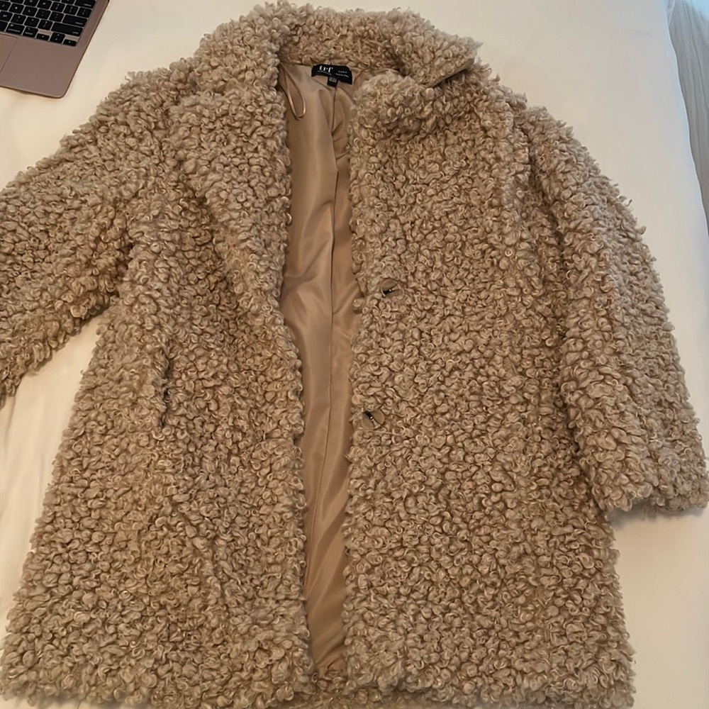 Zara Teddy Coat